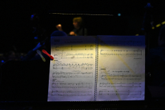 EDV_8393