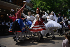 EDV_7003_