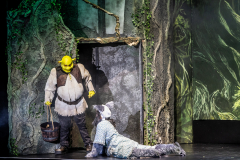 FV-Shrek_WEB-0778