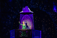 FV-Shrek_WEB-0882