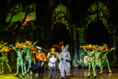 FV-Shrek_WEB-0909