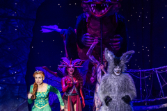 FV-Shrek_WEB-0983