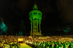 FV-Shrek_WEB-1122