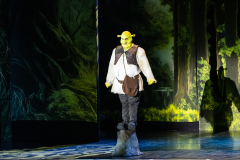 FV-Shrek_WEB-1150