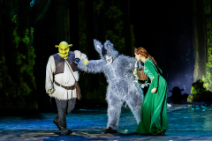 FV-Shrek_WEB-1157