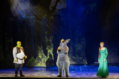 FV-Shrek_WEB-1206