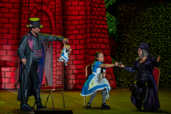 20260731_MSZSZ_Wonderland_-small_46