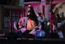 Frank Wildhorn és Jack Murphy: RUDOLF musical