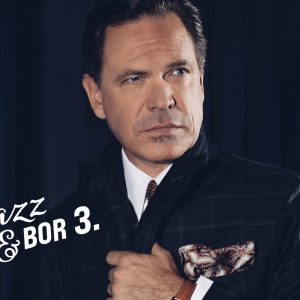 KURT ELLING koncert